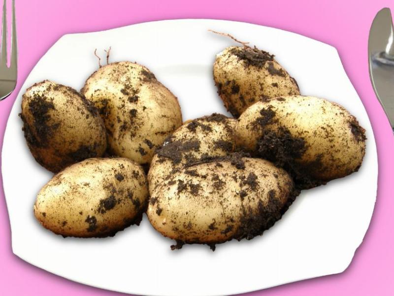 5 façons délicieuses de cuisiner les pommes de terre