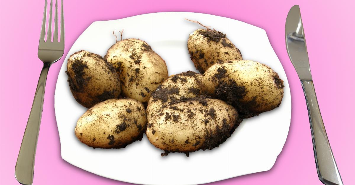 5 façons délicieuses de cuisiner les pommes de terre